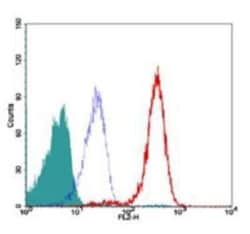 TRF-2 Antibody (4A794.15) - BSA Free, Novus Biologicals:Antibodies:Primary