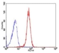 TRF-2 Antibody (4A794.15) - BSA Free, Novus Biologicals:Antibodies:Primary