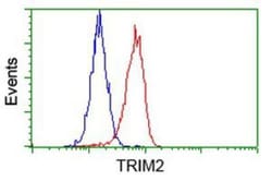 TRIM2 Antibody (OTI2B10), Novus Biologicals 0.1mL; Unlabeled:Antibodies,