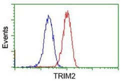 TRIM2 Antibody (OTI2B10), Novus Biologicals 0.1mL; Unlabeled:Antibodies,