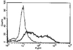 anti- TROY/TNFRSF19, Clone: Giu.Li, Novus Biologicals 0.025mg; Unlabeled:Antibodies,
