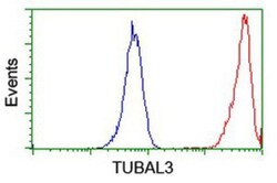 TUBAL3 Antibody (OTI4C5), Novus Biologicals 0.1mL; Unlabeled:Antibodies,