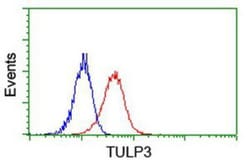 TULP3 Antibody (OTI7B8), Novus Biologicals 0.1mL; Unlabeled:Antibodies,