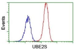 UBE2S Antibody (OTI1B5), Novus Biologicals 0.1mL; Unlabeled:Antibodies,