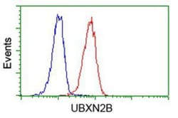 UBXN2B Antibody (OTI1F7), Novus Biologicals 0.1mL; Unlabeled:Antibodies,