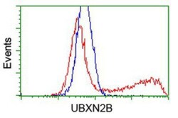 UBXN2B Antibody (OTI1F7), Novus Biologicals 0.1mL; Unlabeled:Antibodies,