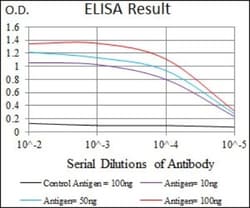 Uteroglobin/SCGB1A1 Antibody (3A8B8) - BSA Free, Novus Biologicals 0.1mL;