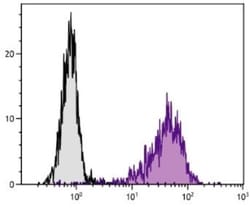 VCAM-1/CD106 Antibody (1.G11B1), PE, Novus Biologicals 1mL; PE:Antibodies,