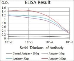 VE-Cadherin Antibody (3D5C7) - BSA Free, Novus Biologicals 0.1mL; Unlabeled:Antibodies,