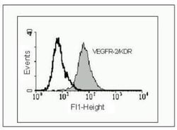 VEGFR2/KDR/Flk-1 Antibody (4H3) - Azide and BSA Free, Novus Biologicals