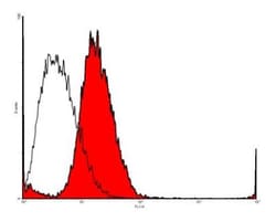 VEGFR2/KDR/Flk-1 Antibody (4H3) - Azide and BSA Free, Novus Biologicals