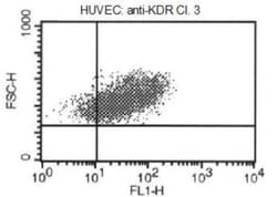 VEGFR2/KDR/Flk-1 Antibody (4H3) - Azide and BSA Free, Novus Biologicals