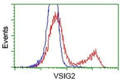 VSIG2 Antibody (OTI2D8), Novus Biologicals 0.1mL; Unlabeled:Antibodies,