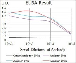 WHSC2 Antibody (6B11H8) - BSA Free, Novus Biologicals:Antibodies:Primary