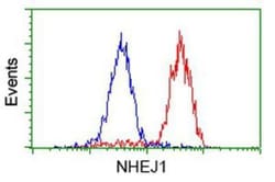 XLF Antibody (OTI3D6), Novus Biologicals 0.1mL; Unlabeled:Antibodies, Monoclonal