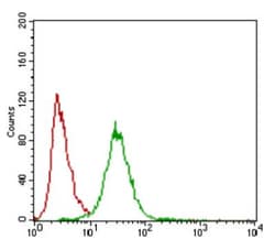 ZEB1 Antibody (2A8A6) - BSA Free, Novus Biologicals 0.025mL; Unlabeled:Antibodies,