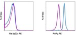 Thumbnail_Invitrogen ROR gamma (t) Monoclonal Antibody (AFKJS-9), PE, eBioscience