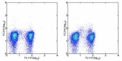 FOXP3 Monoclonal Antibody (PCH101), PE-Cyanine5, eBioscience , Invitrogen:Antibodies:Primary