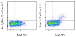 FOXP3 Monoclonal Antibody (PCH101), PE-eFluor 610, eBioscience , Invitrogen:Antibodies:Primary