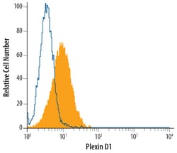 Human Plexin D1 Antibody, R D Systems 100ug; Unlabeled:Antibodies, Monoclonal