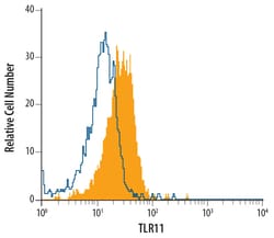 Mouse TLR11 Antibody, R D Systems 100ug; Unlabeled:Antibodies, Monoclonal