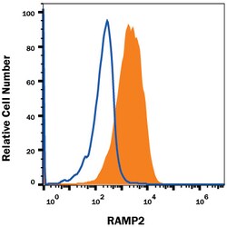 Mouse RAMP2 Antibody, R D Systems 100ug; Unlabeled:Antibodies, Monoclonal