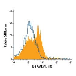 Human IL1RAPL2 Antibody, R D Systems 25&mu;g; Unlabeled:Antibodies, Polyclonal