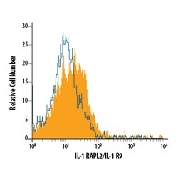 Human IL1RAPL2 Antibody, R D Systems 25&mu;g; Unlabeled:Antibodies, Polyclonal