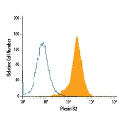 Mouse Plexin B2 Antibody, R D Systems 25&mu;g; Unlabeled:Antibodies, Polyclonal