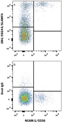 Human 2B4/CD244/SLAMF4 Antibody, R D Systems 25&mu;g; Unlabeled:Antibodies,