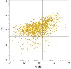 Human 4-1BB/TNFRSF9/CD137 Antibody, R D Systems 100&mu;g; Unlabeled:Antibodies,