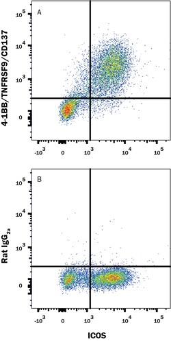 Mouse 4-1BB/TNFRSF9/CD137 PE-conjugated Antibody, R D Systems 100 Tests | Buy Online | R&D Systems | Fisher Scientific