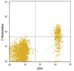 Human/Equine 5'-Nucleotidase/CD73 Antibody, R D Systems 100ug; Unlabeled:Antibodies,