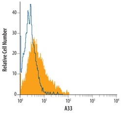 Human A33 Antibody, R D Systems 100ug; Unlabeled:Antibodies, Monoclonal