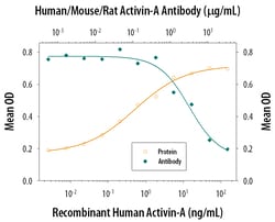 Human/Mouse/Rat Activin A beta A subunit Antibody, R D Systems 100&mu;g;