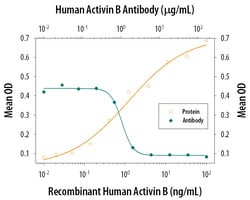 Human Activin B beta B subunit Antibody, R D Systems 25 &mu;g | Buy Online | R&D Systems | Fisher Scientific