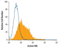 Human Activin RIB/ALK-4 Antibody, R D Systems 100ug; Unlabeled:Antibodies,