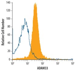 Human ADAM33 Antibody, R D Systems 100ug; Unlabeled:Antistoffer