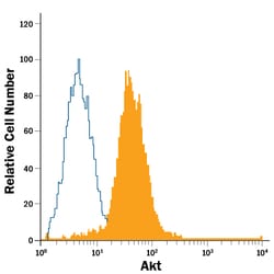 Human/Mouse/Rat Akt Pan Specific PE-conjugated Antibody, R D Systems 100