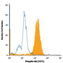 Phospho-Akt (S473) PE-conjugated Antibody, R D Systems 100 Tests; PE:Antibodies,