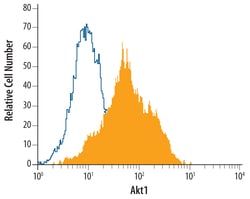 Human Akt1 Antibody, R D Systems 100ug; Unlabeled:Antibodies, Monoclonal