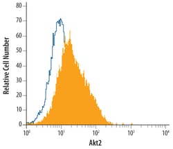 Human Akt2 Antibody, R D Systems 25&mu;g; Unlabeled:Antibodies, Monoclonal