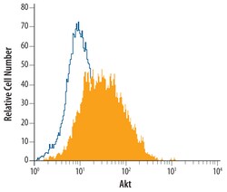 Human/Mouse/Rat Akt Pan Specific Antibody, R D Systems 100ug; Unlabeled:Antibodies,