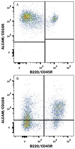 Human/Mouse/Rat/Canine ALCAM/CD166 Antibody, R D Systems 100&mu;g; Unlabeled:Antibodies,