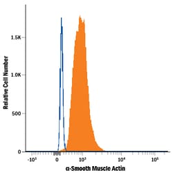 Human alpha-Smooth Muscle Actin Alexa Fluor 594-conjugated Antibody, R