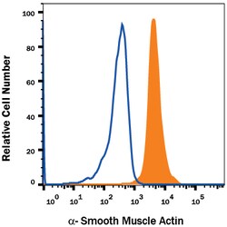 Human/Mouse/Rat alpha-Smooth Muscle Actin Antibody, R D Systems 100ug;