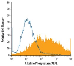 Mouse Alkaline Phosphatase/ALPL Antibody, R D Systems 25 &mu;g | Buy Online | R&D Systems | Fisher Scientific