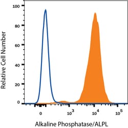 Human Alkaline Phosphatase/ALPL PE-conjugated Antibody, R D Systems:Antibodies:Primary