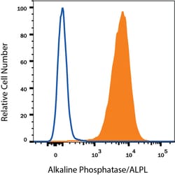 Human Alkaline Phosphatase/ALPL Antibody, R D Systems 100ug; Unlabeled:Antibodies,