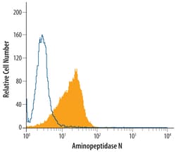Human Aminopeptidase N/CD13 Antibody, R D Systems 25&mu;g; Unlabeled:Antibodies,